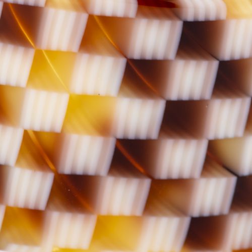 マロンチェック