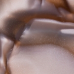 グレーマーブル