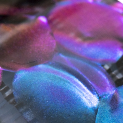 ドリームカラー